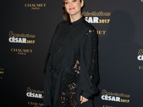 Le photocall des révélations des César 2017 avec Marion Cotillard, Guillaume Canet et Lily-Rose Depp