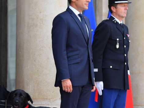 Emmanuel et Brigitte Macron : découvrez Nemo, le chien du couple présidentiel