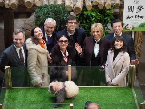 PHOTOS Brigitte Macron a baptisé le bébé panda du zoo de Beauval