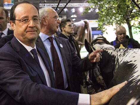 François Hollande au salon de l'agriculture