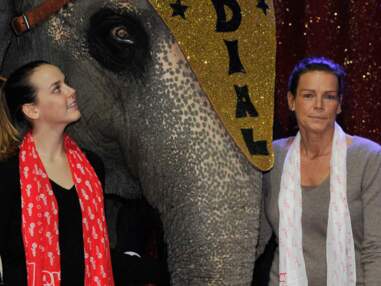 Stéphanie de Monaco fête le cirque avec Pauline