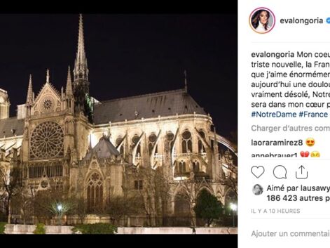 PHOTOS Incendie de Notre-Dame de Paris : sous le choc, les stars réagissent en masse