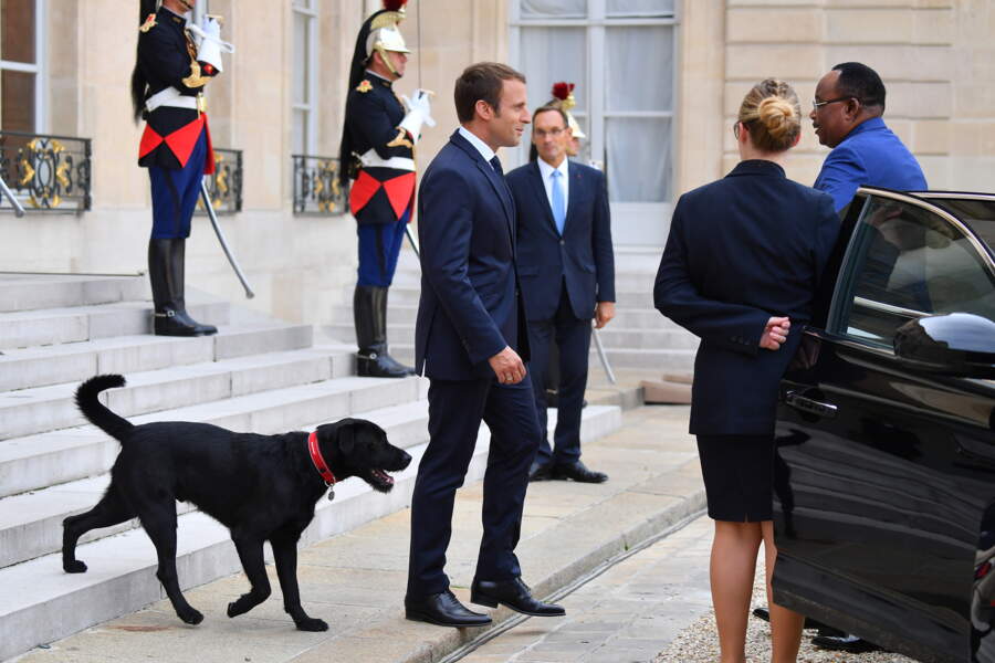 Emmanuel Et Brigitte Macron D couvrez Nemo Le Chien Du Couple Emmanuel Et Brigitte Macron D couvrez Nemo Le Chien Du Couple