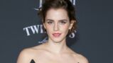 ARTICLE SUIVANT : <br />
 Tous les articles de Emma Watson