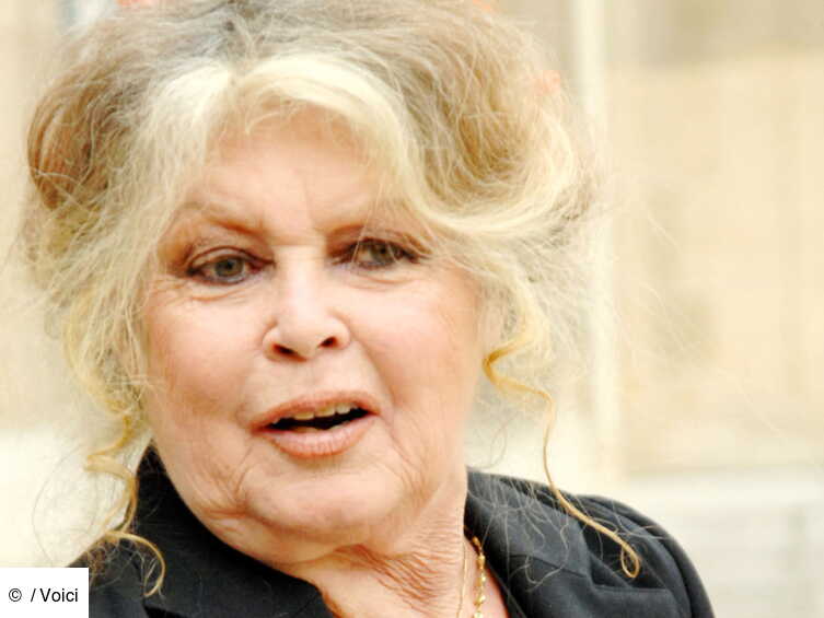 Qui Est La Petite Fille De Brigitte Bardot