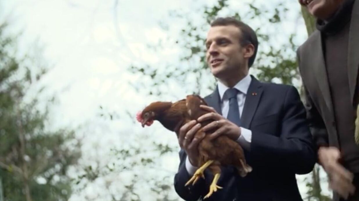Emma­nuel Macron : décou­vrez le prénom de ses poules Voi