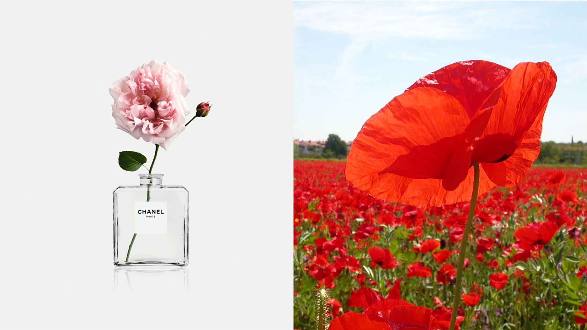 fleur by kenzo