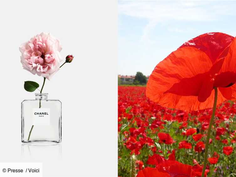 fleur by kenzo