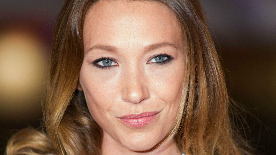 photo-johnny-hallyday-bientot-au-pantheo