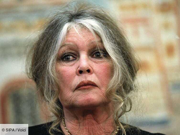 Est Ce Que Brigitte Bardot Est Morte