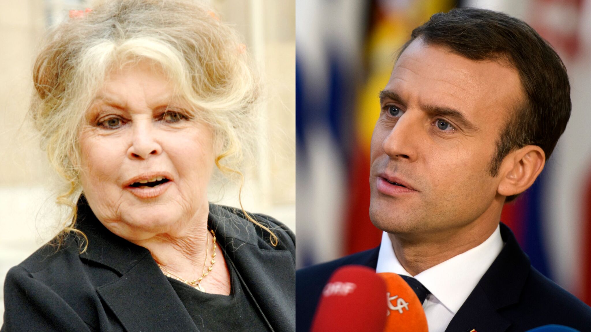 Brigitte Bardot Accuse Emmanuel Macron De Faire De La France Un Centre De Loisirs Pour Extermination D Animaux Voici