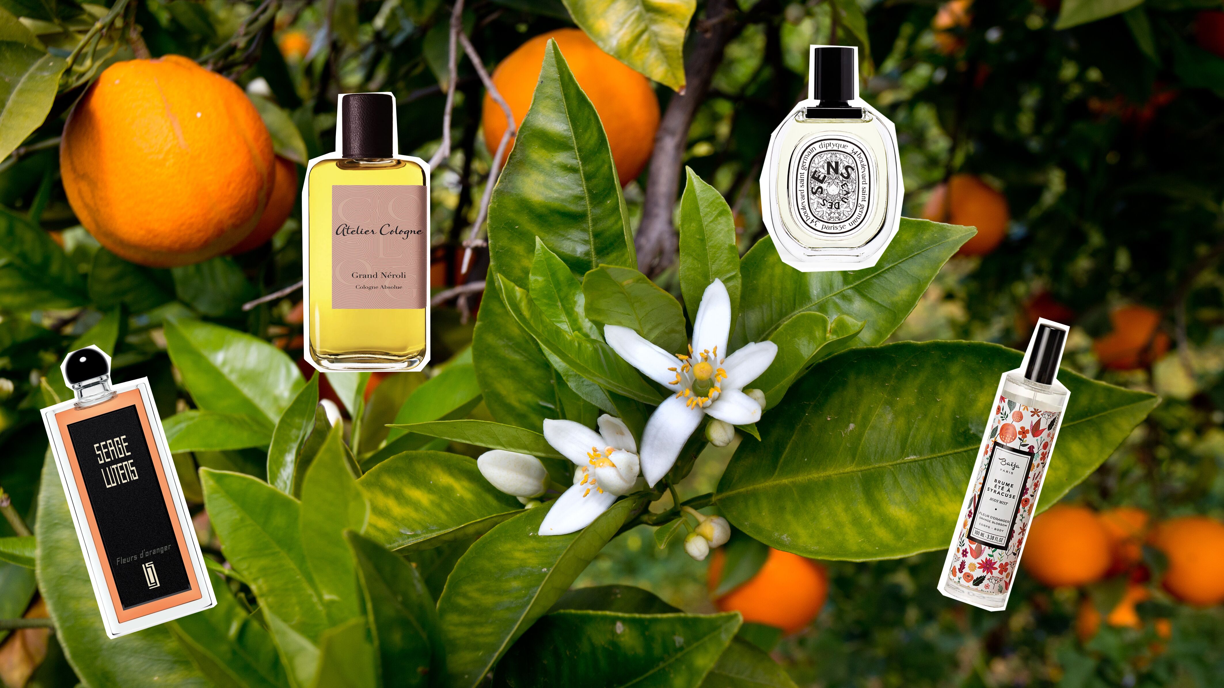 la fleur parfums