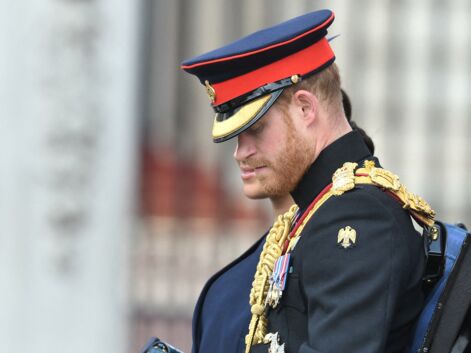 PHOTOS Prince William et prince Harry séparés à Trooping the Colour