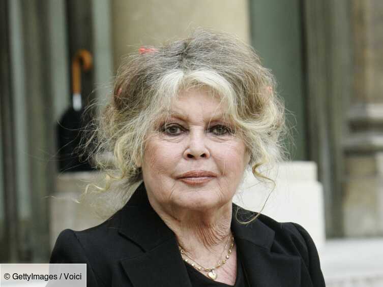 Est Ce Que Brigitte Bardot Est Morte Brigitte Bardot révèle avoir fait plusieurs tentatives de suicide - Voici