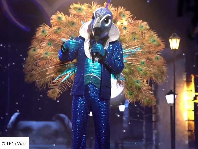 Mask Singer les stars costumées chantentelles vraiment sur scène ? Voici Mask Singer les stars costumées chantentelles vraiment sur scène ? Voici