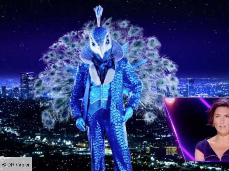Mask Singer Qui est le paon ? Voici les premiers indices et ils sont impressionnants ! Voici