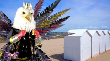 Mask Singer : Karl Zéro est-il caché sous le costume de l ...