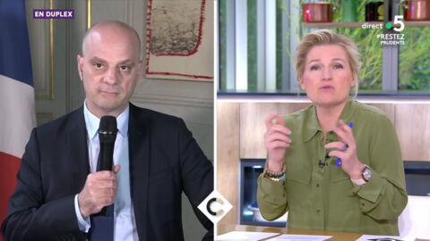 VIDEO Francis Lalanne répond avec humour à ses détracteurs dans Le Grand Journal - Voici