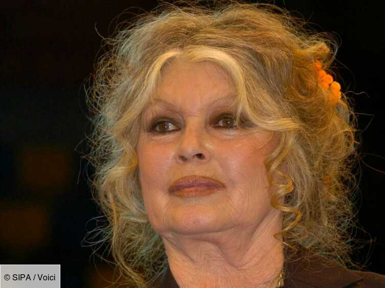 Photos De Brigitte Bardot Quand Elle était Jeune Brigitte Bardot : ce terrible souvenir d'enfance qu'elle peine à