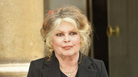 Brigitte Bardot La Biographie De Brigitte Bardot Avec Voici Fr