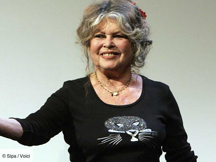 Pourquoi Brigitte Bardot A Abandonné Son Fils Brigitte Bardot : pourquoi la naissance de son fils a été « un