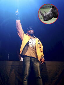 keenan cahill rencontre 50 cent
