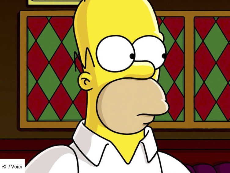 Homer Simpson la nouvelle voix de la SNCF Voici