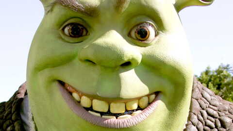 Harry Styles : ses fans déçus par le premier teaser de son film