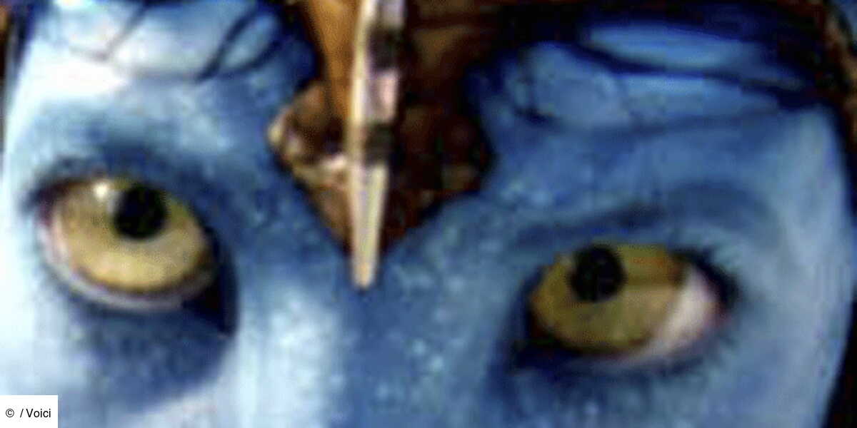 Avatar plus de 7,5 millions d'entrées en France Voici