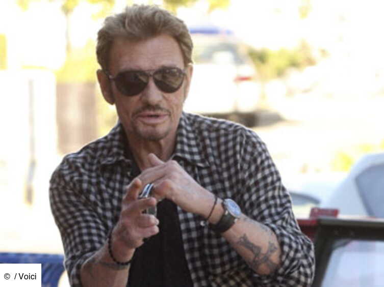 Johnny Hallyday En 3d Dans Le Dessin Anime Titeuf Voici