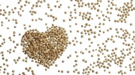 le-quinoa-dans-les-cosmetiques-nouvelle-tendance