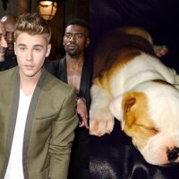 Justin Bieber Abandonne Son Petit Singe En Allemagne Voici