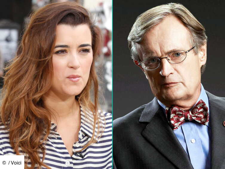 Cote De Pablo Andrea De Pablo Fernandez