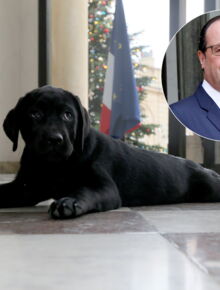 tulle rencontre foot f. Hollande et laurent koscielny