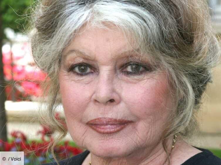 Est Ce Que Brigitte Bardot Est Morte Mort d'Henri Tisot : Brigitte Bardot est sous le choc - Voici