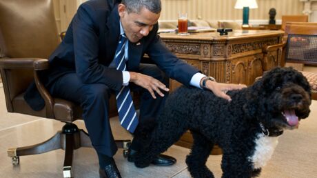 barack-obama-les-services-secrets-dejouent-un-projet-de-kidnapping-visant-son-chien