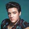 Une cible de tir utilisée par Elvis Presley vendue 20 000 euros aux enchères - Voici