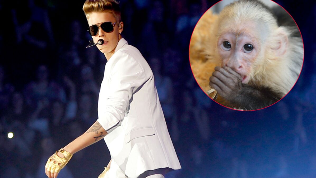 Justin Bieber Abandonne Son Petit Singe En Allemagne Voici