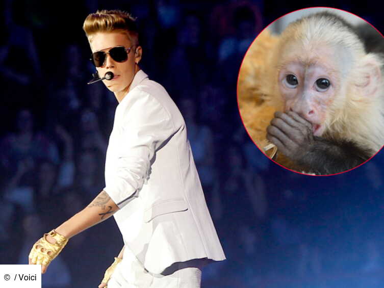 Justin Bieber Abandonne Son Petit Singe En Allemagne Voici