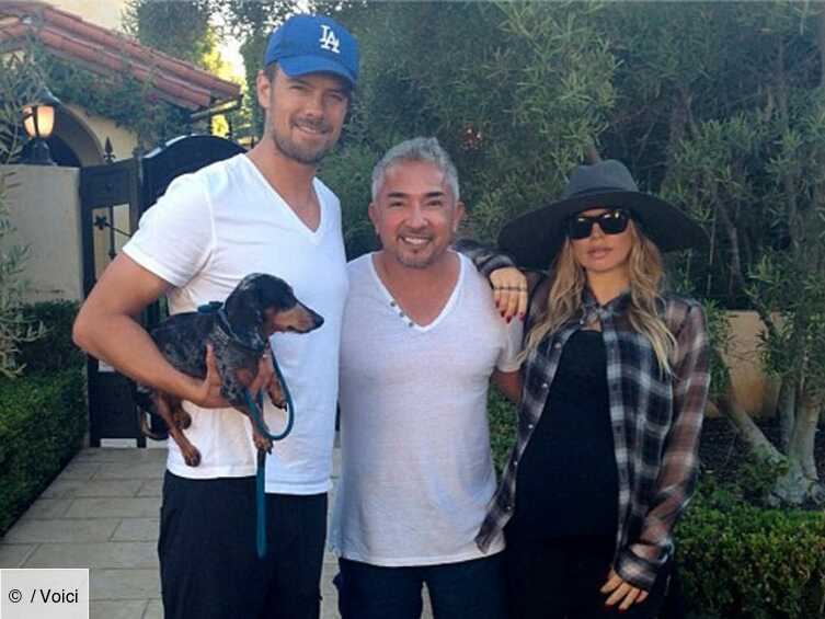 Fergie Black Eyed Peas Prepare Son Chien A L Arrivee Du Bebe Avec L Aide D Un Psy Voici