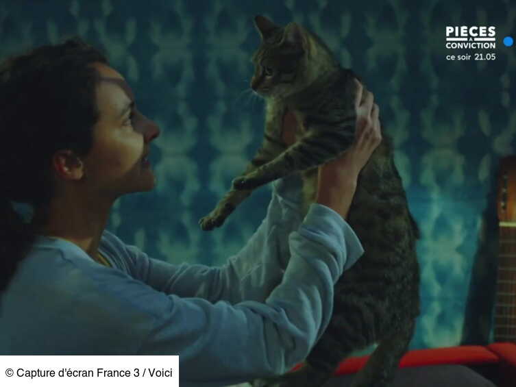 Plus Belle La Vie Apres Le Meurtre Du Chaton Tigrou France Tele Rassure Les Telespectateurs Voici