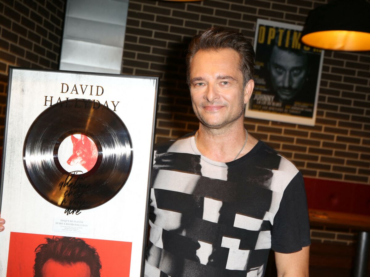 David Hallyday : les internautes ont trouvé son troublant sosie dans Quotidien