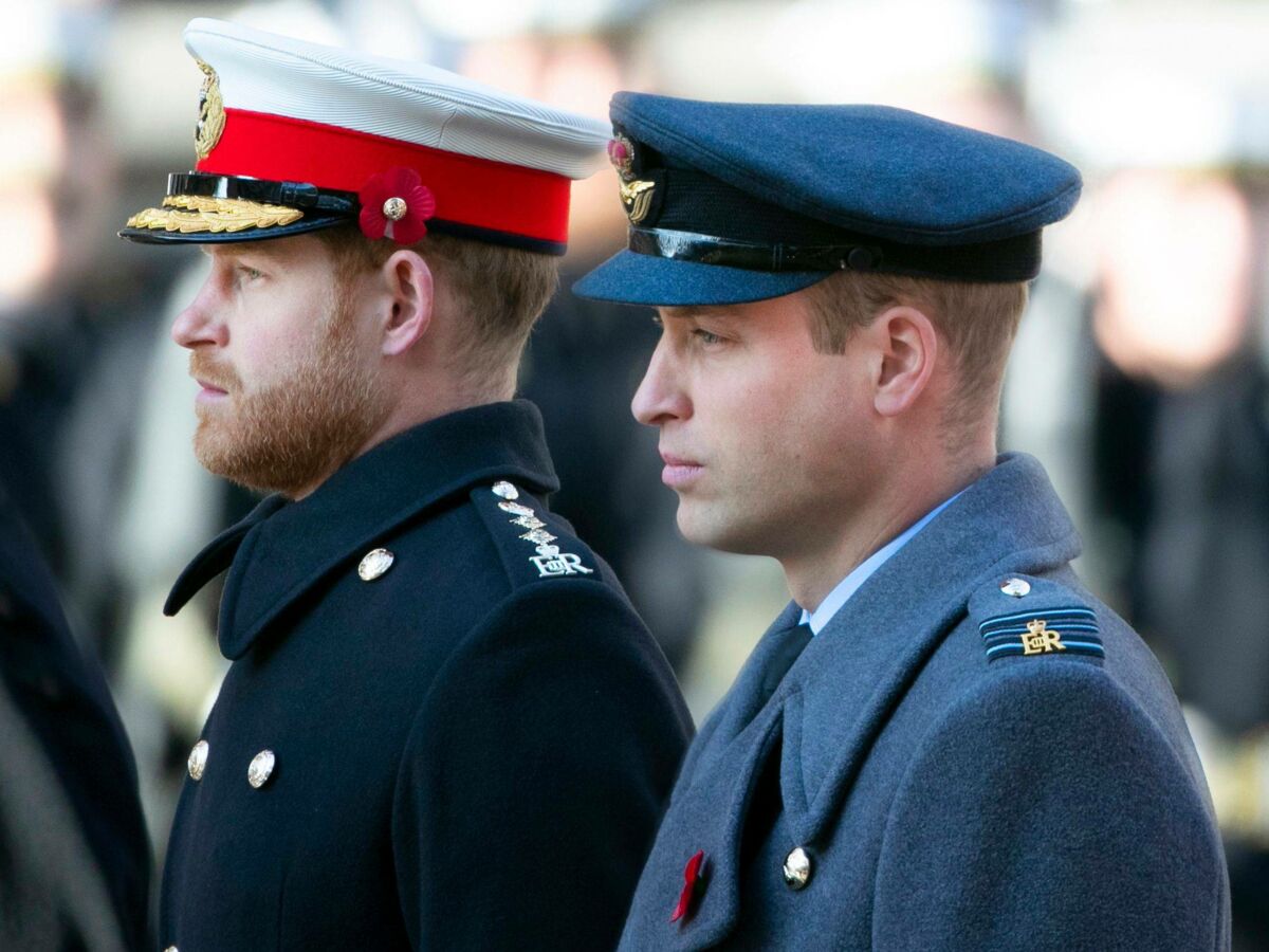 William et Harry : ce projet sur lequel ils ont enfin trouvé un accord