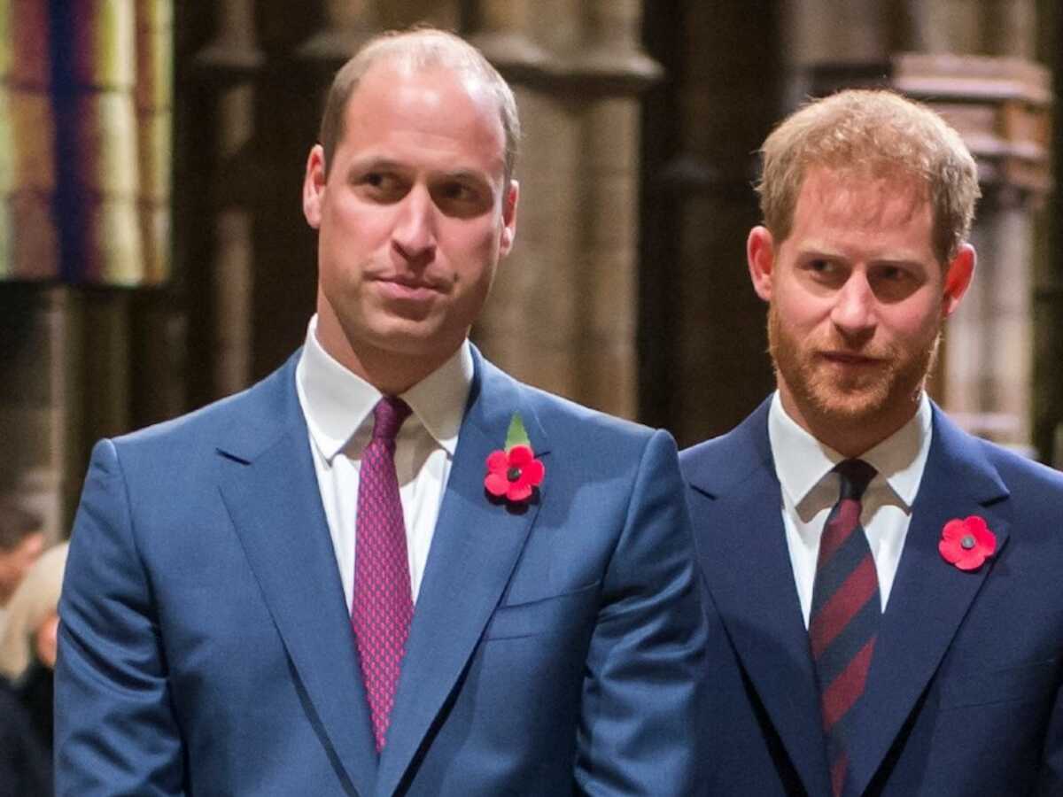 Harry et William toujours en guerre : la triste confidence d’un proche des deux princes