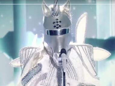 VOICI Mask Singer : les candidats qui ont participé à l'émission de TF1