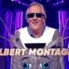 Mask Singer : Gilbert Montagné démasqué aux portes de la finale - Voici