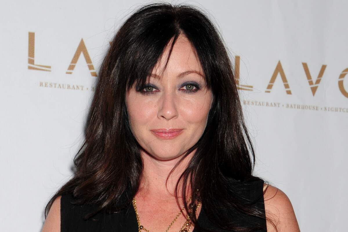 Shannen Doherty 90210 reboot