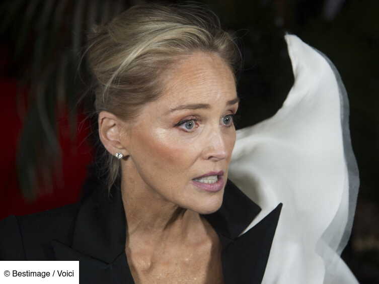 Dicaprio Sharon Stone Salaire – Leonardo DiCaprio : actualités avec ...