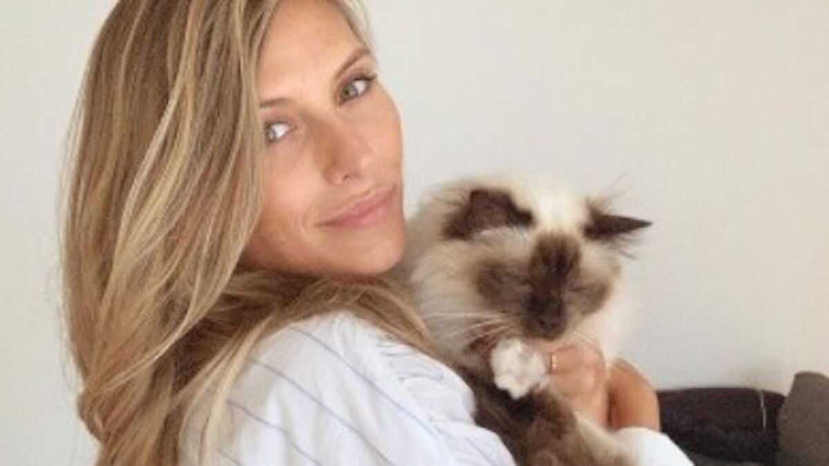 Photos Les Stars Et Leurs Chats Une Veritable Histoire D Amour Voici