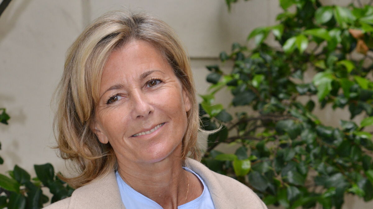 Affaire Nicolas Hulot